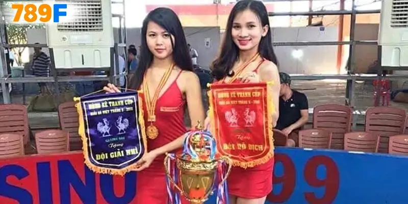 Đá Gà C2