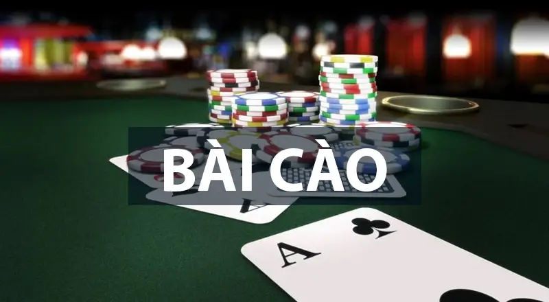 Bài Cào